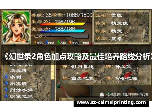 《幻世录2角色加点攻略及最佳培养路线分析》